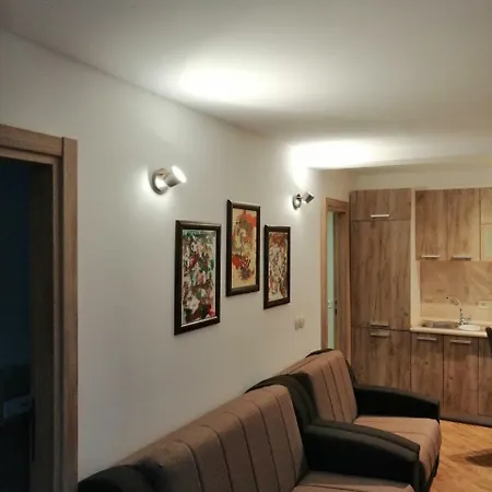 Olive Tree Apartments Tivat Exterior photo