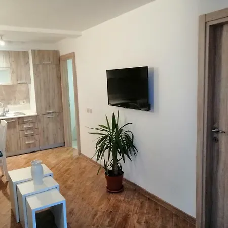Olive Tree Apartments Tivat Exterior photo