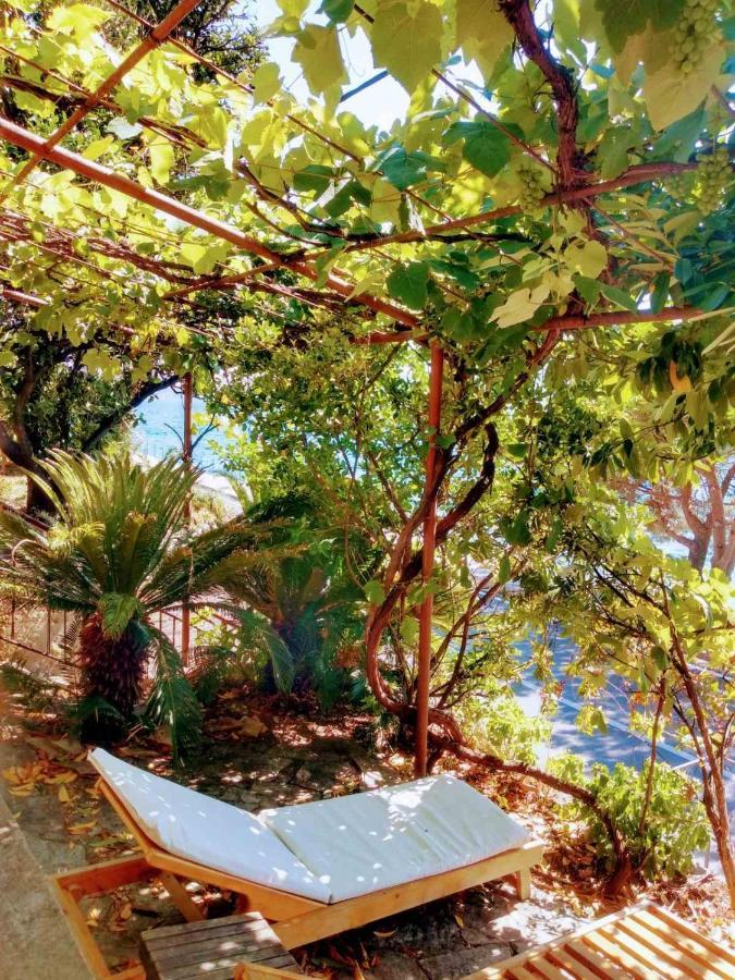 Olive Tree Apartment *