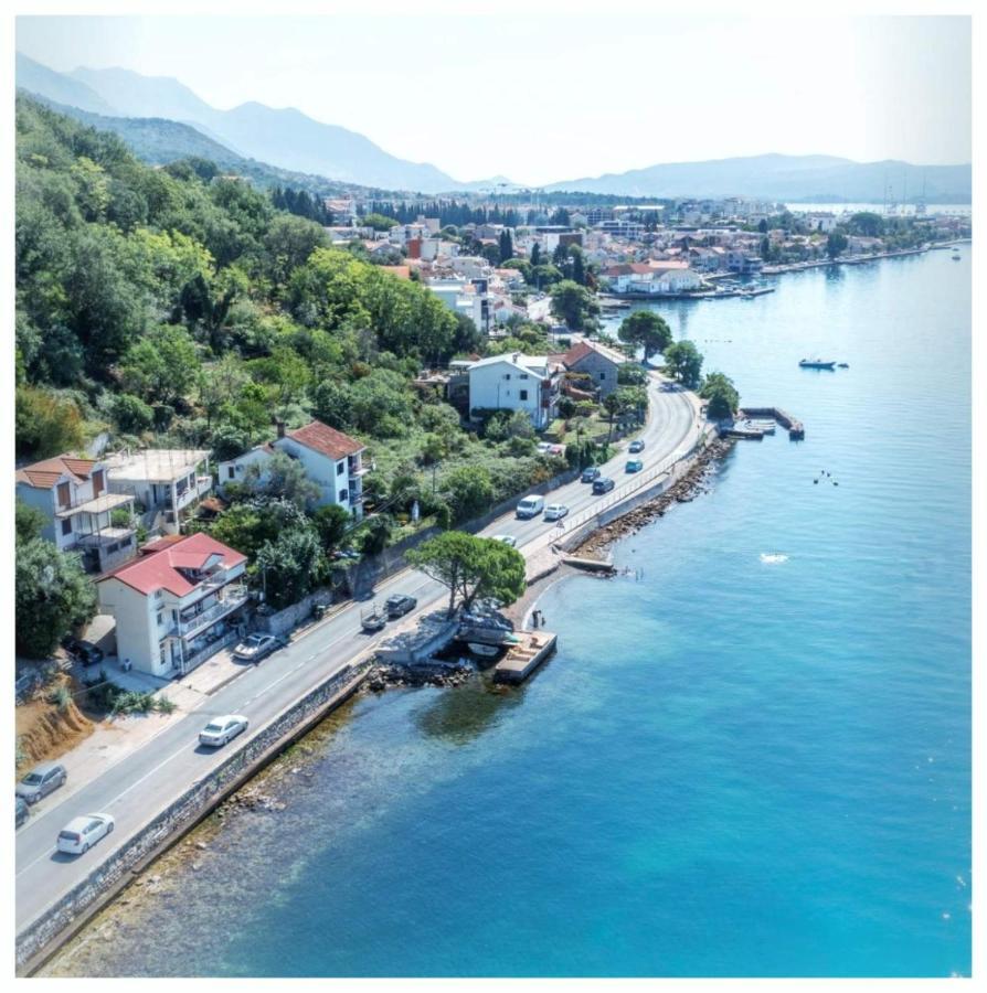 Olive Tree Tivat