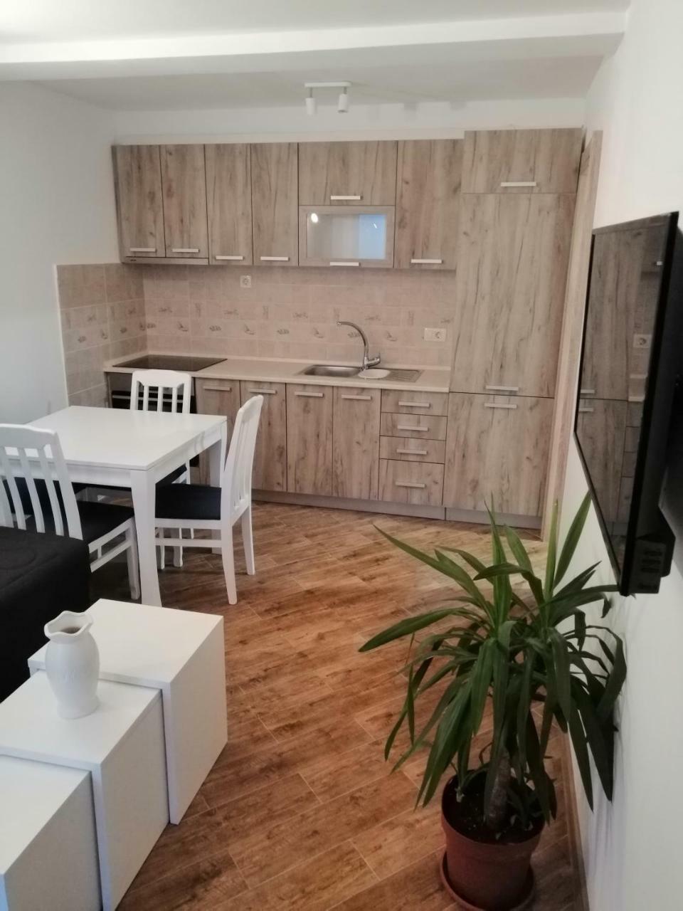 Apartment Olive Tree