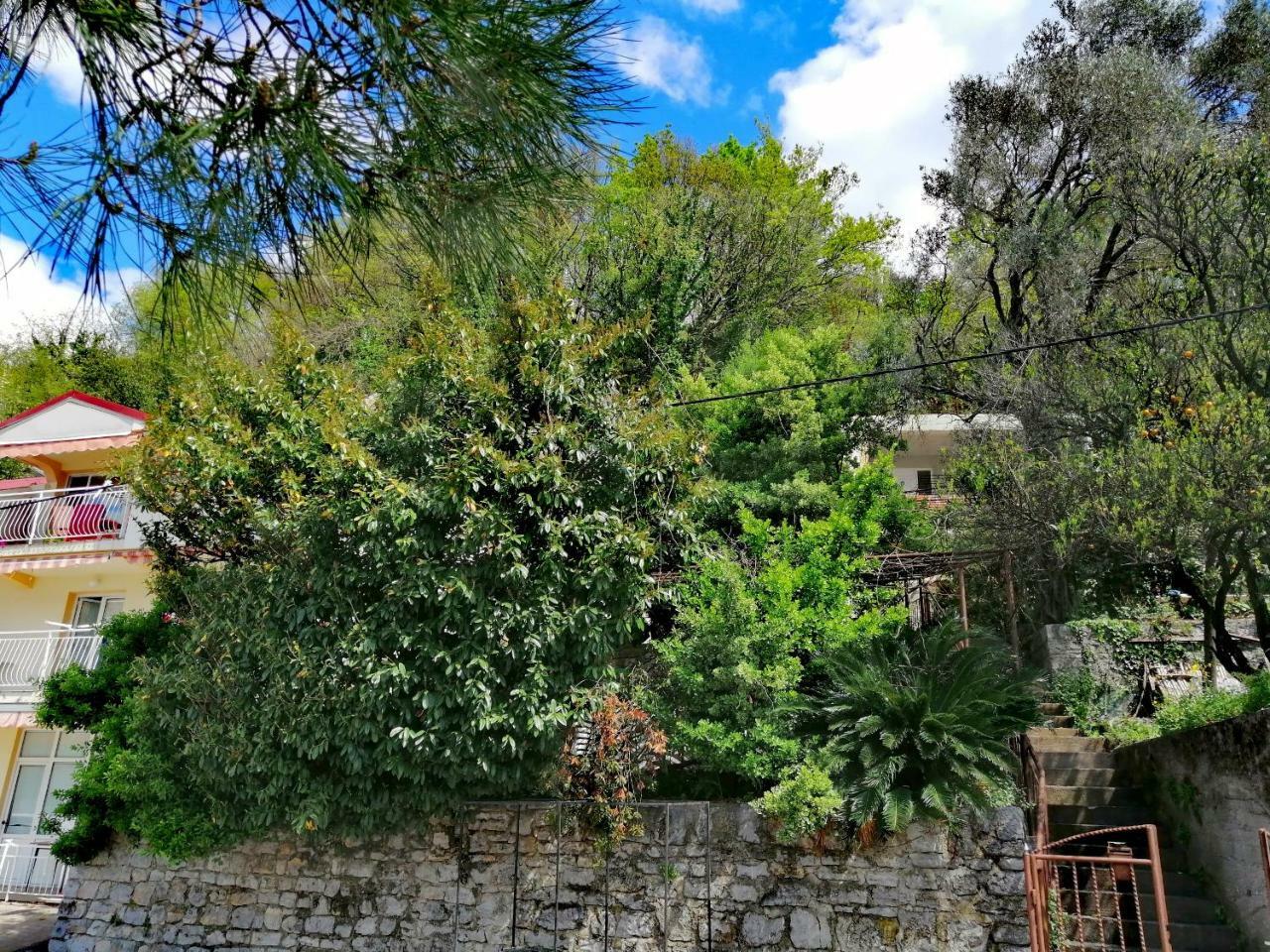 Apartment Olive Tree *