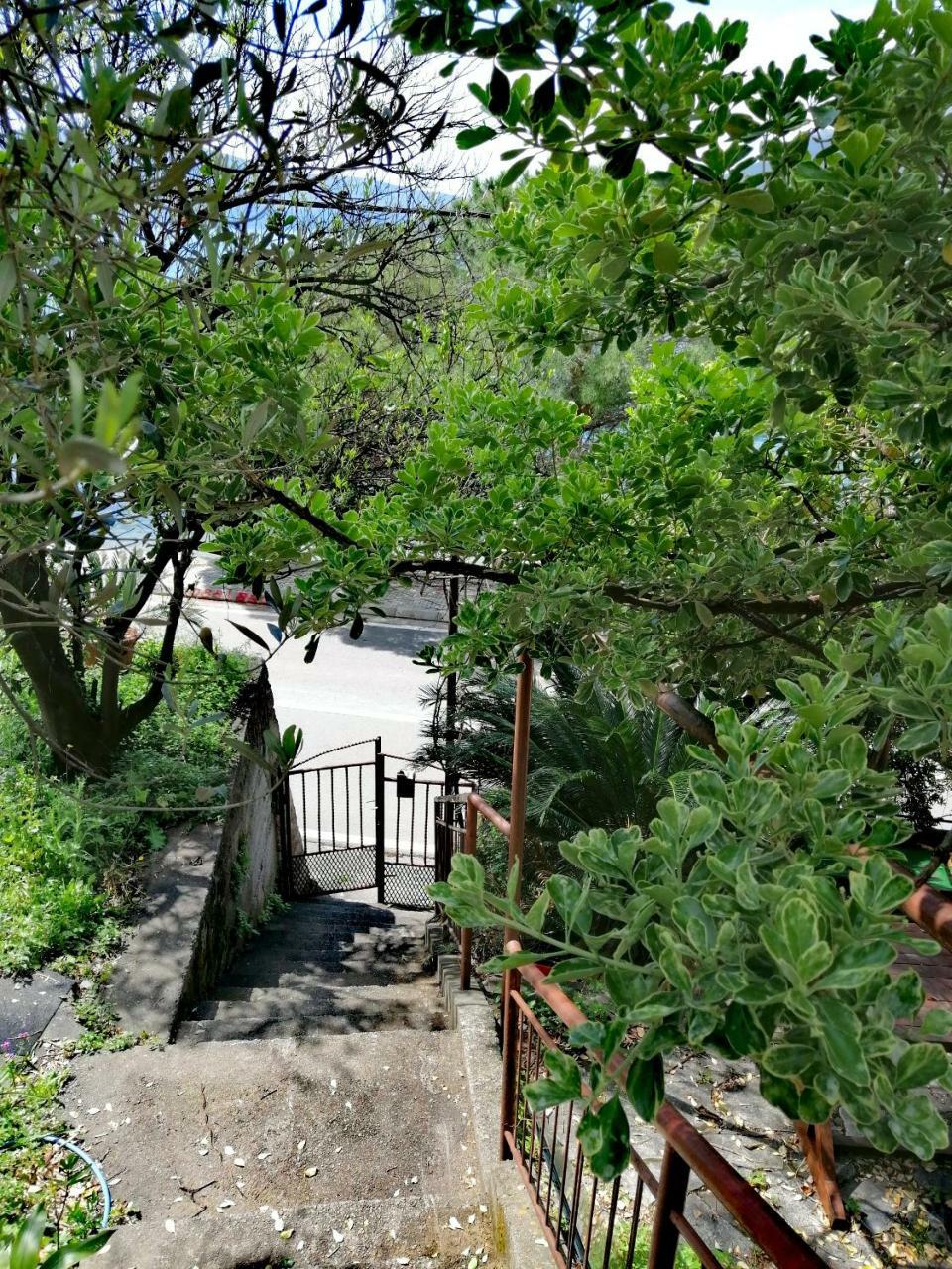 Apartment Olive Tree Tivat