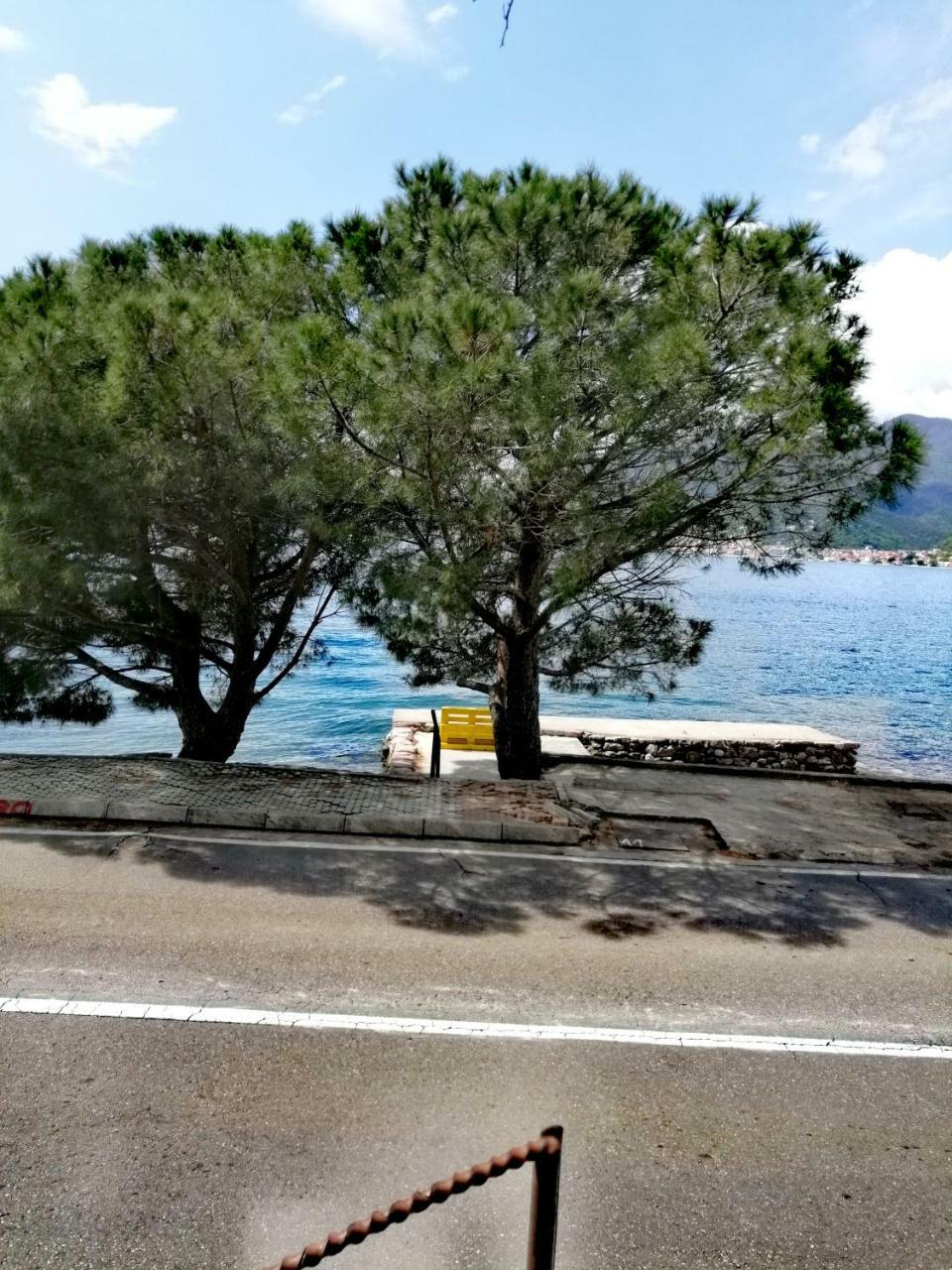 Appartamento Olive Tree