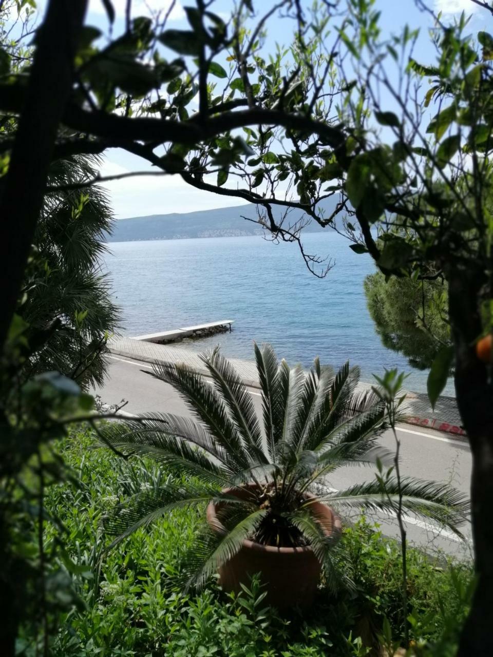 Olive Tree Appartamento Teodo
