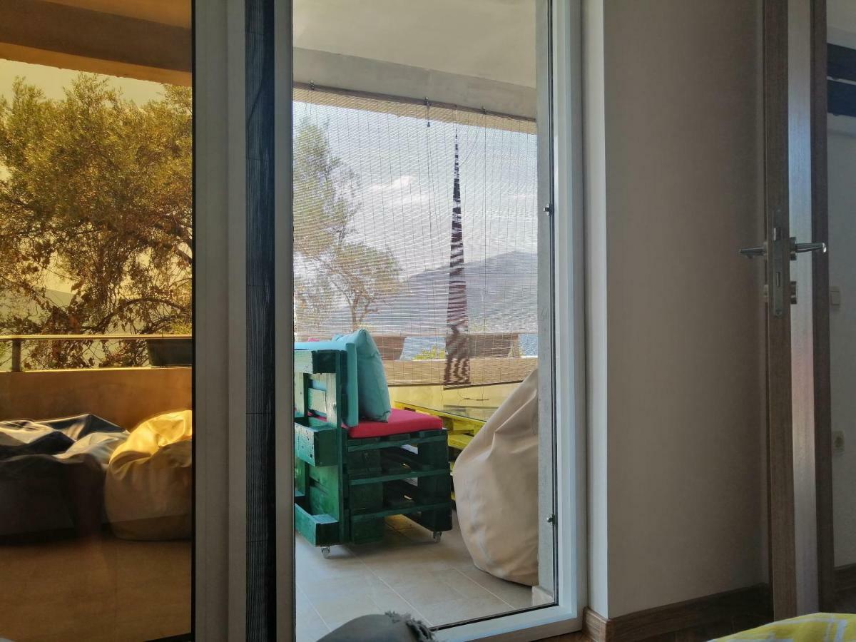 Olive Tree Apartment